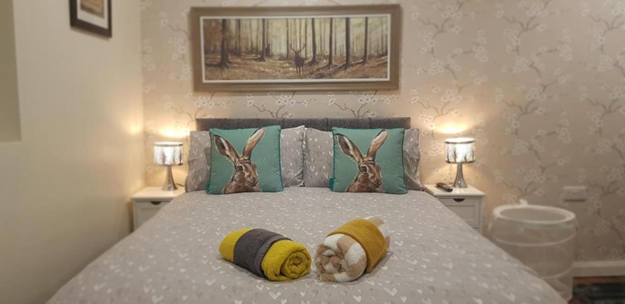 The Musical Ceol Cottage 1-Bedroom - Sleeps Four Ballynahinch Exteriör bild